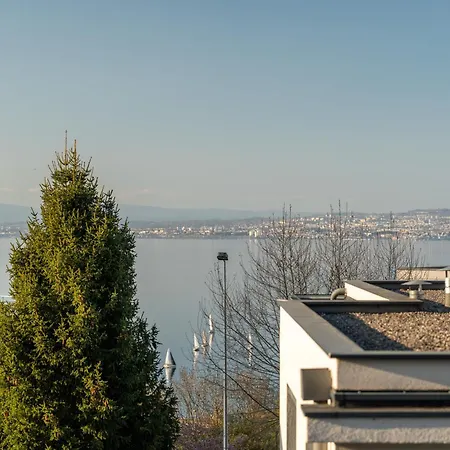 Bright Modern With View In Evian Apartman